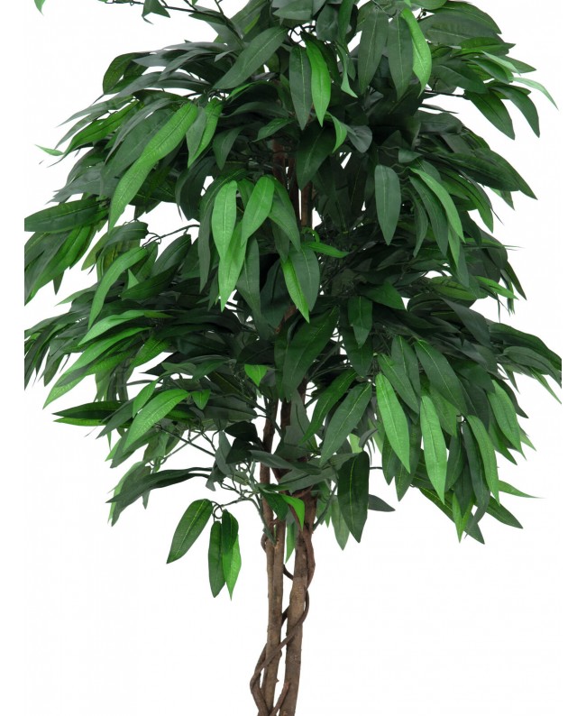 Europalms Jungle tree Mango, artificial plant, 180cm Flowers & Plants