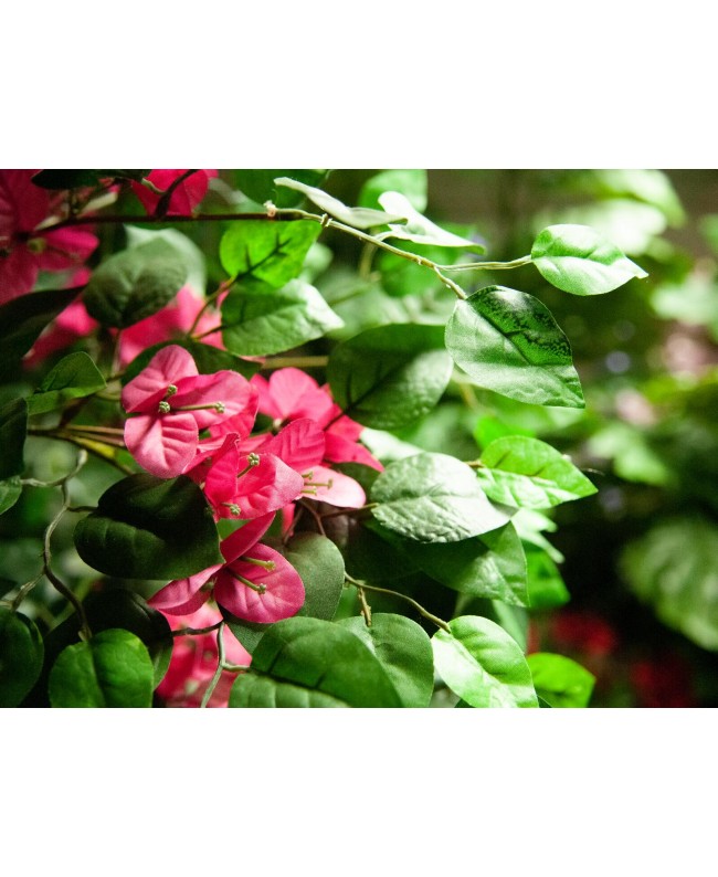 Europalms Bougainvillea, artificial plant, pink, 150cm Flowers & Plants