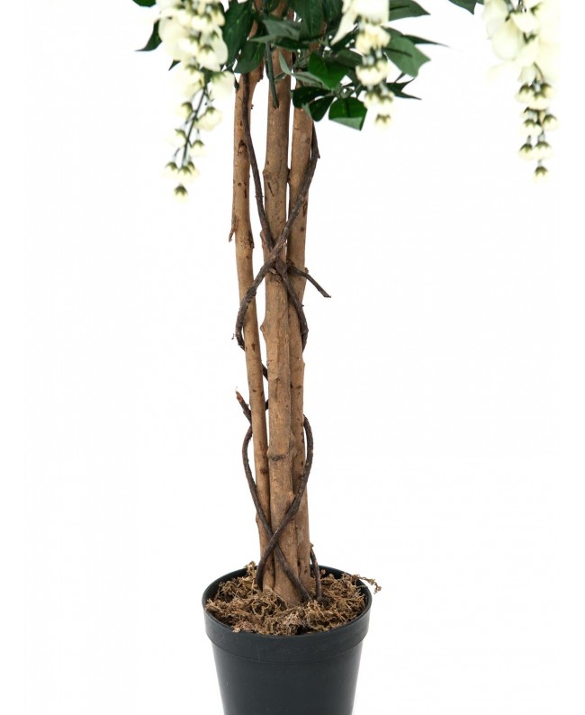 Europalms Goldregenbaum, Kunstpflanze, weiß, 150cm Blumen & Pflanzen