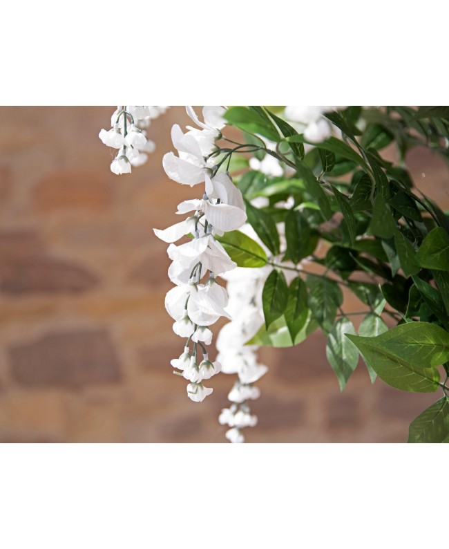 Europalms Wisteria, artificial plant, white, 180cm Flowers & Plants