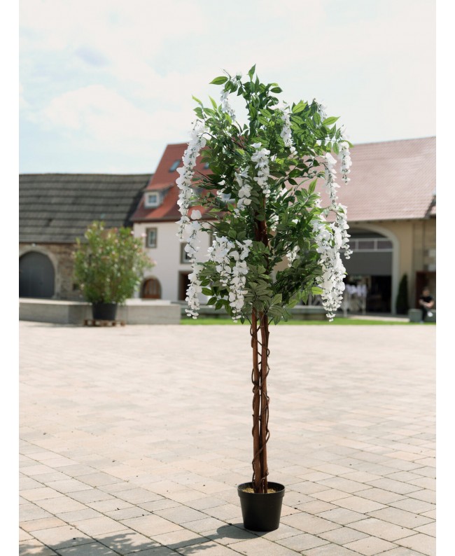 Europalms Glicine, pianta artificiale, bianco, 180 cm Fiori & piante