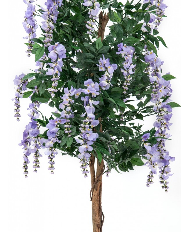 Europalms Goldregenbaum, Kunstpflanze, violett, 180cm Blumen & Pflanzen