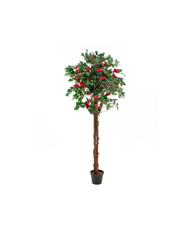 Europalms Camelia red cemented, artificial plant, 180cm Flowers & Plants