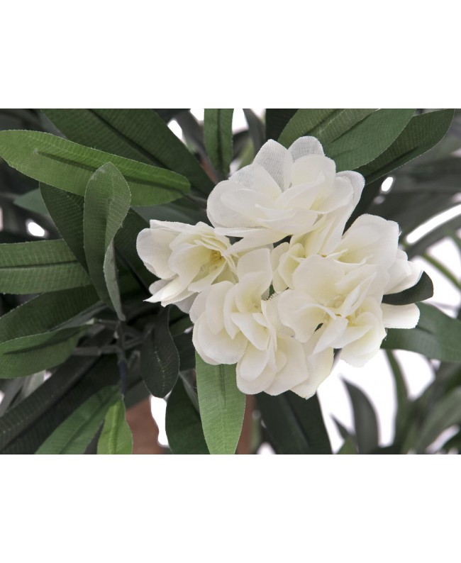 Europalms Albero di oleandro, pianta artificiale, bianco, 120 cm Fiori & piante