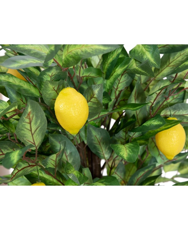Europalms Lemon Tree, artificial plant, 150cm Flowers & Plants