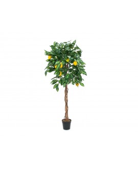 Europalms Lemon Tree, artificial plant, 180cm Flowers & Plants