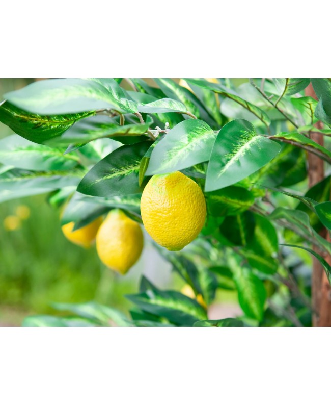 Europalms Lemon Tree, artificial plant, 180cm Fiori & piante