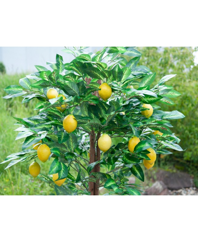 Europalms Lemon Tree, artificial plant, 180cm Fiori & piante