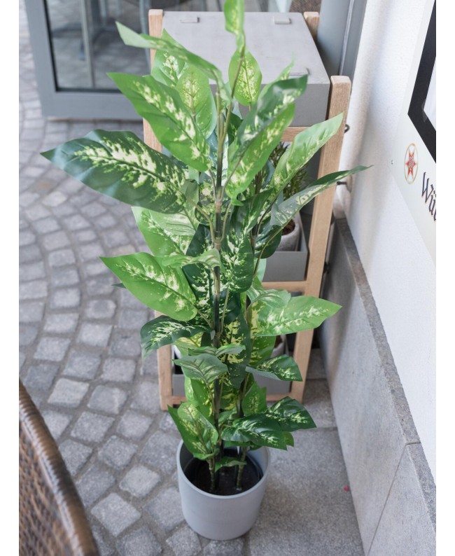 Europalms Dieffenbachia, künstlich, 120cm Blumen & Pflanzen