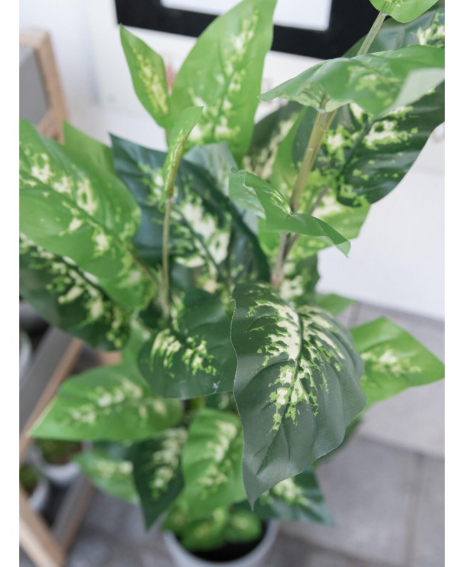 Europalms Dieffenbachia, künstlich, 120cm Blumen & Pflanzen