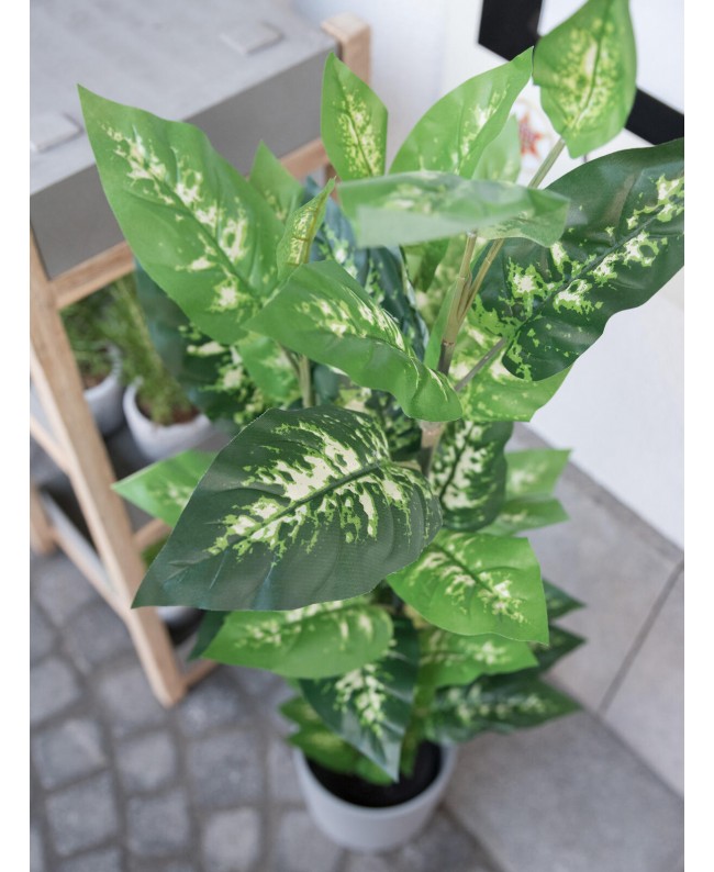 Europalms Dieffenbachia, künstlich, 120cm Blumen & Pflanzen