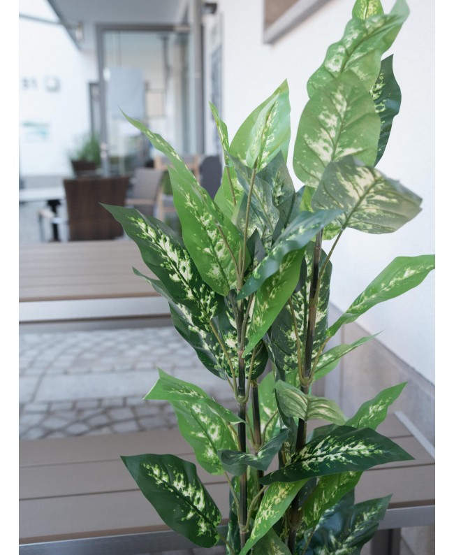 Europalms Dieffenbachia, artificial, 120cm Flowers & Plants