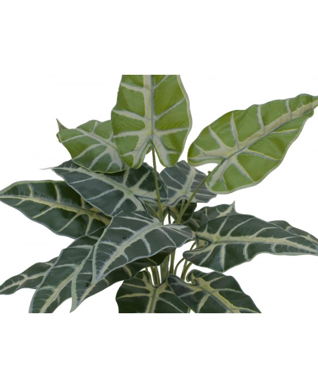 Europalms Caladium, artificial plant, 38cm Fiori & piante