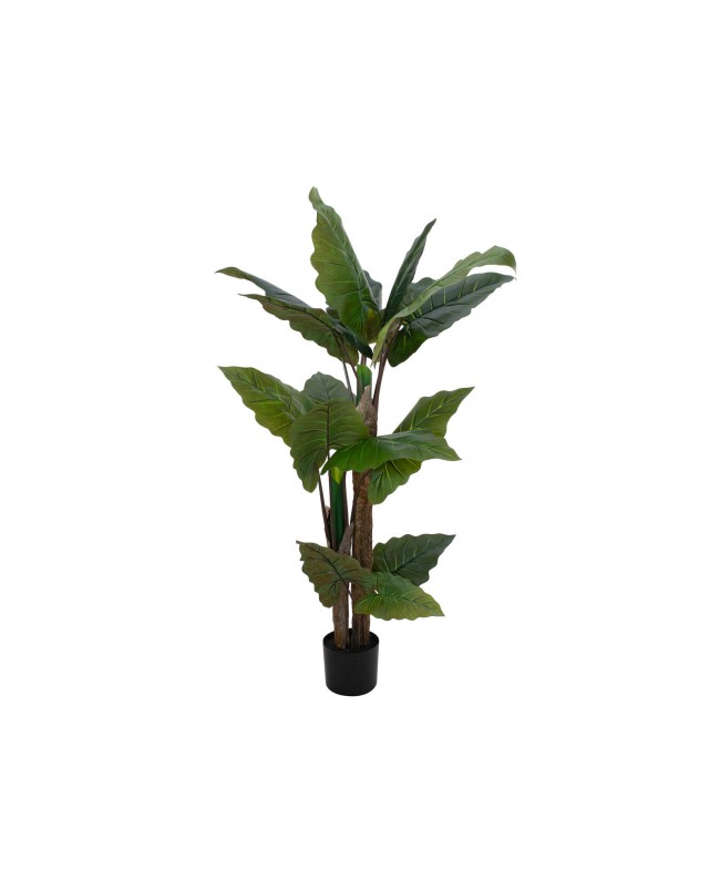 Europalms Taro Alocasia, artificial plant, 140cm Flowers & Plants