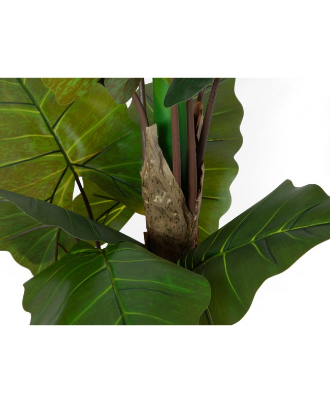 Europalms Pfeilblatt - Alocasia, Kunstpflanze, 140cm Blumen & Pflanzen