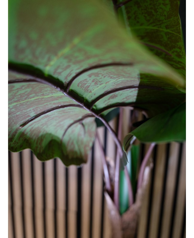 Europalms Taro Alocasia, artificial plant, 140cm Flowers & Plants