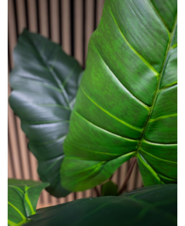 Europalms Pfeilblatt - Alocasia, Kunstpflanze, 140cm Blumen & Pflanzen