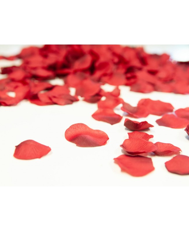 Europalms Rose Petals, artificial, red, 500x Flowers & Plants