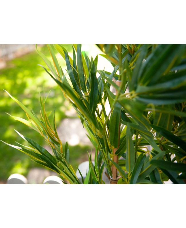Europalms Bamboo Deluxe, artificial plant, 150cm Flowers & Plants