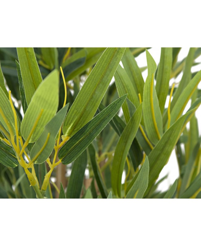 Europalms Bamboo Deluxe, artificial plant, 180cm Flowers & Plants