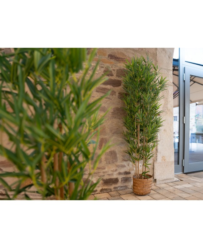 Europalms Bamboo Deluxe, artificial plant, 180cm Fiori & piante