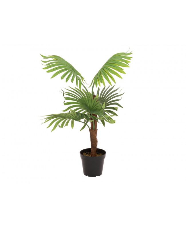 Europalms Fan Palm, artificial plant, 88cm Fiori & piante