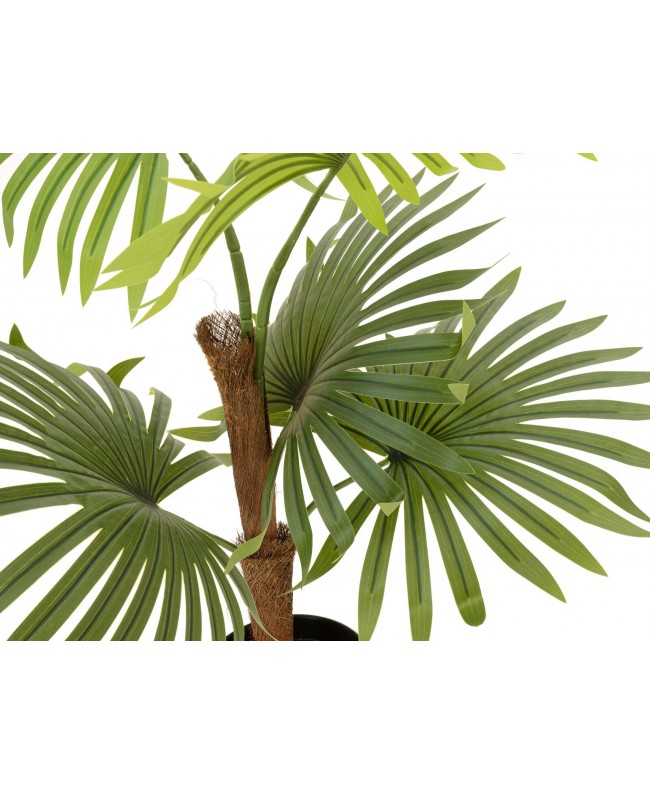 Europalms Fan Palm, artificial plant, 88cm Fiori & piante