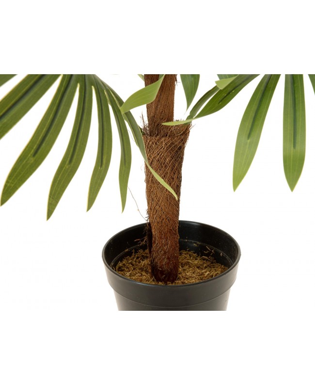Europalms Fan Palm, artificial plant, 88cm Flowers & Plants