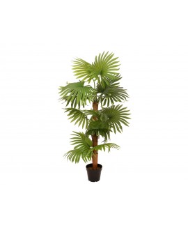 Europalms Fan Palm, artificial plant, 130cm Fiori & piante