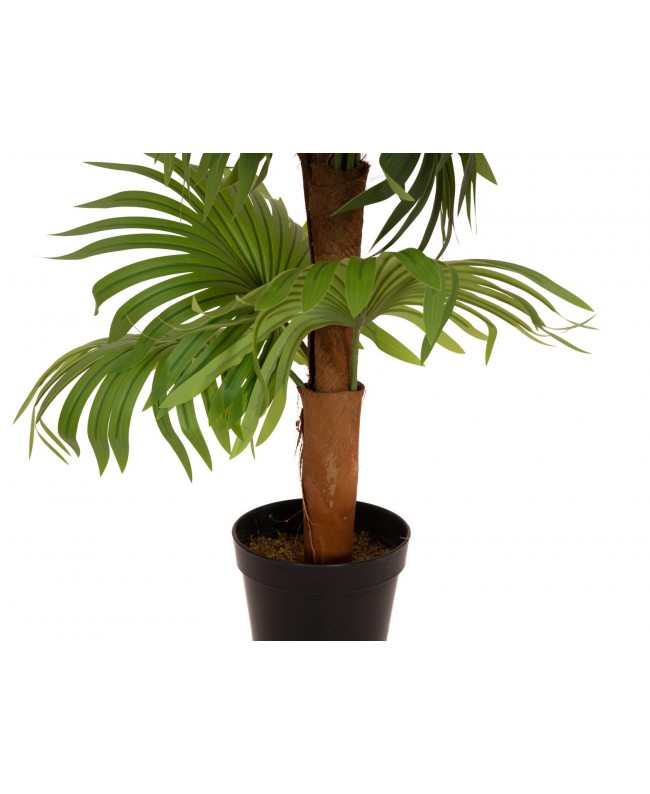 Europalms Fan Palm, artificial plant, 130cm Fiori & piante