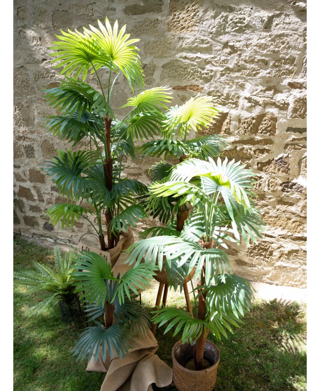 Europalms Fan Palm, artificial plant, 130cm Fiori & piante
