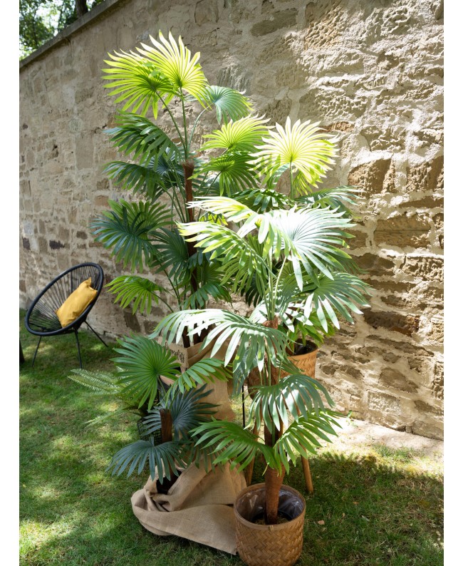 Europalms Fan Palm, artificial plant, 130cm Fiori & piante