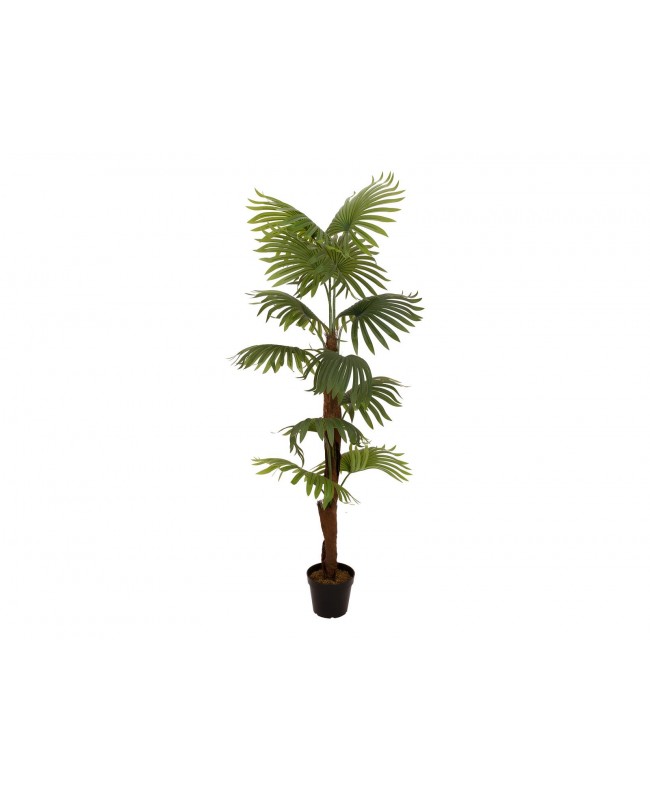 Europalms Fan Palm, artificial plant, 155cm Fiori & piante