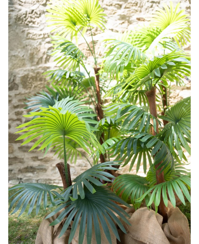 Europalms Fan Palm, artificial plant, 155cm Fiori & piante