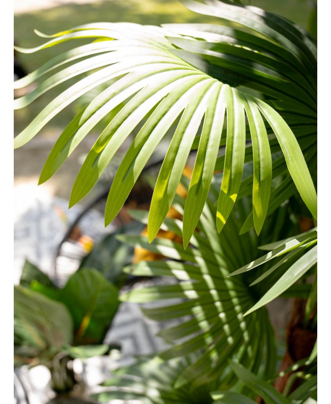 Europalms Fan Palm, artificial plant, 155cm Fiori & piante