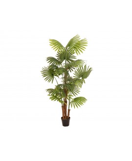 Europalms Fan Palm, artificial plant, 165cm Fiori & piante