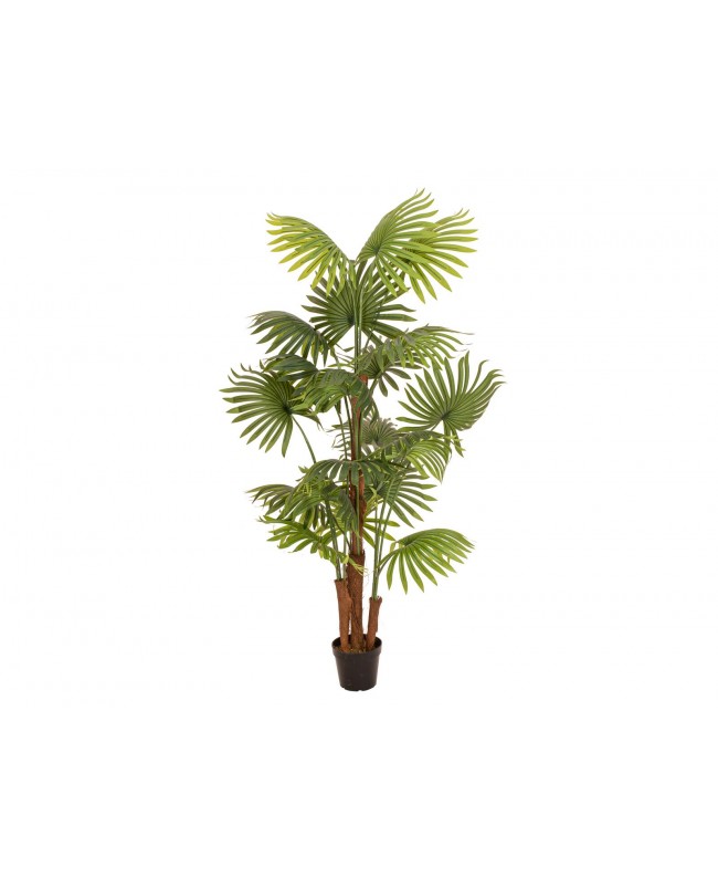 Europalms Fan Palm, artificial plant, 165cm Flowers & Plants