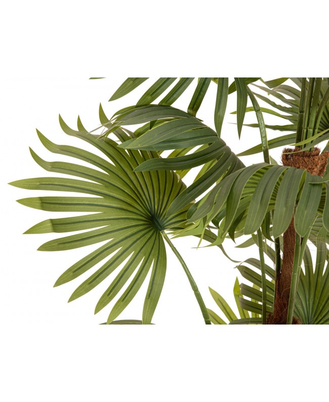 Europalms Fan Palm, artificial plant, 165cm Flowers & Plants