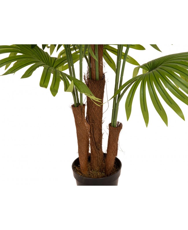 Europalms Fächerpalme, Kunstpflanze, 165cm Blumen & Pflanzen