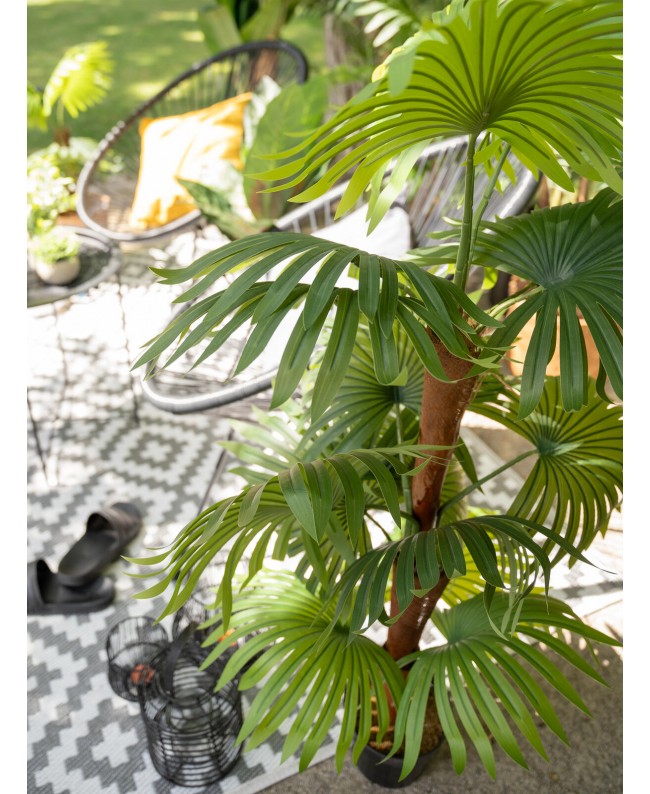 Europalms Fächerpalme, Kunstpflanze, 165cm Blumen & Pflanzen