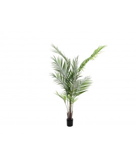 Europalms Areca palm with big leaves, artificial plant, 165cm Flowers & Plants