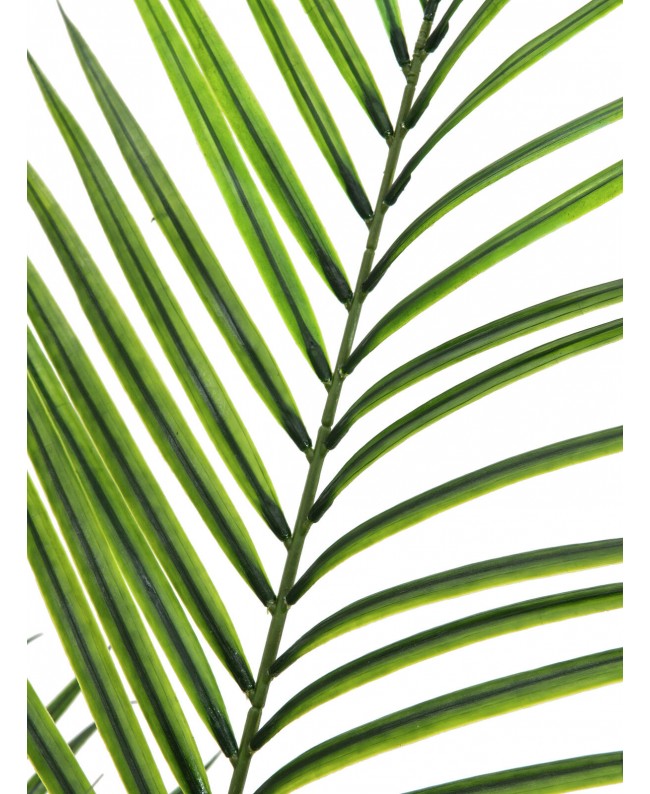 Europalms Areca palm with big leaves, artificial plant, 165cm Fiori & piante
