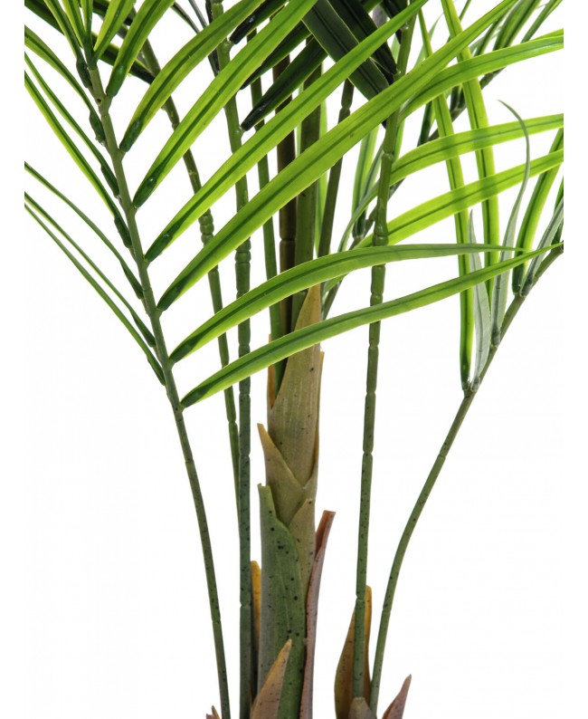Europalms Areca palm with big leaves, artificial plant, 165cm Flowers & Plants