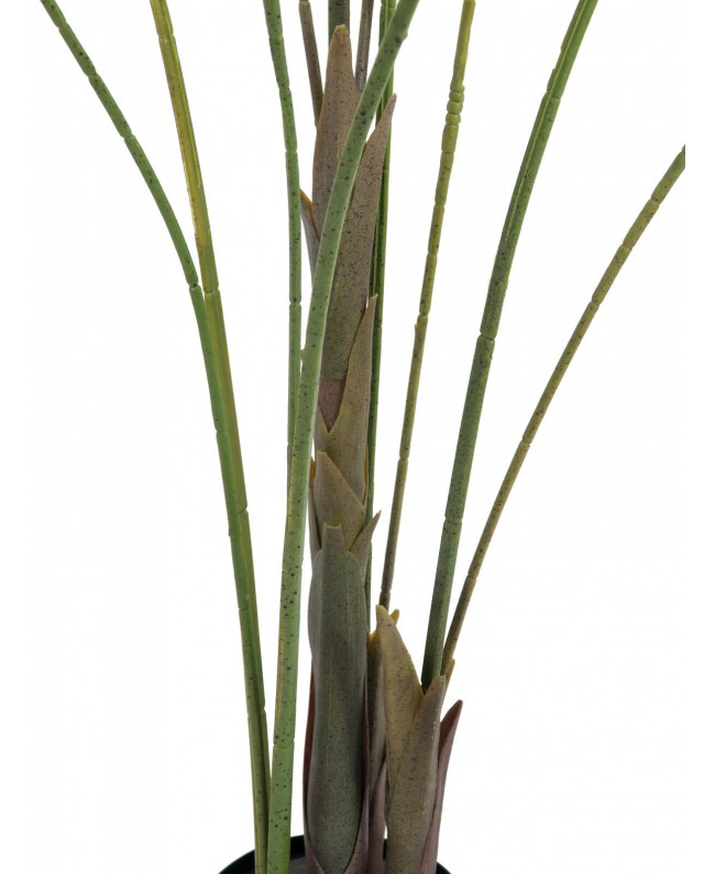 Europalms Großblatt-Areca, Kunstpflanze, 185cm Blumen & Pflanzen