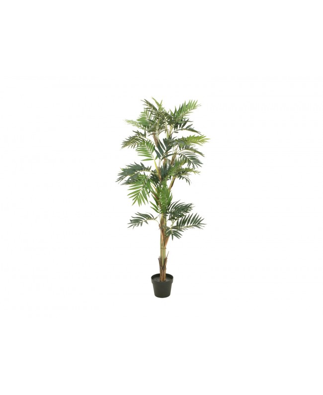 Europalms Parlor Palm, artificial plant, 150cm Flowers & Plants