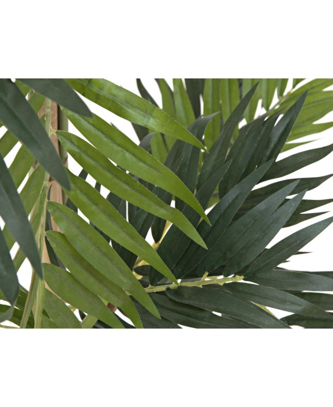 Europalms Parlor Palm, artificial plant, 150cm Flowers & Plants