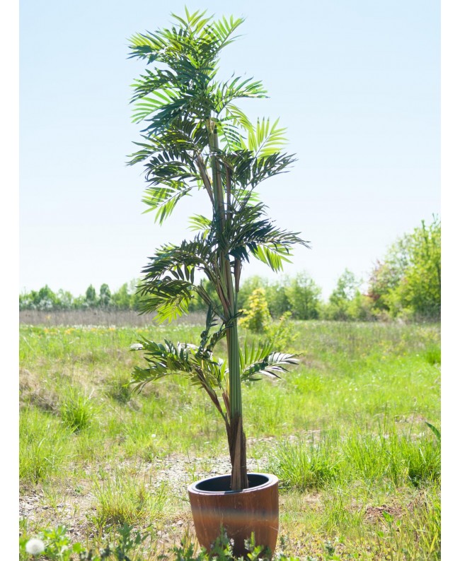 Europalms Parlor Palm, artificial plant, 150cm Flowers & Plants