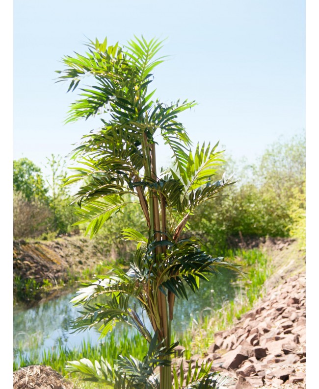 Europalms Parlour Palme, Kunstpflanze, 150cm Blumen & Pflanzen