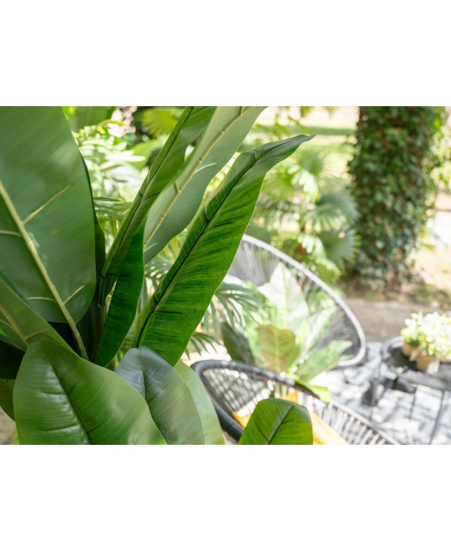 Europalms Banana Tree, artificial plant, 210cm Flowers & Plants