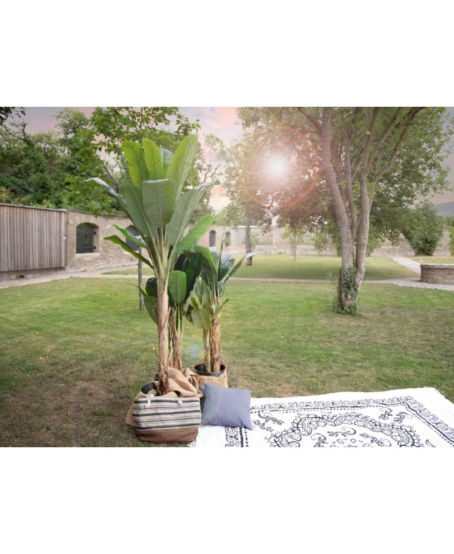 Europalms Bananenbaum, Kunstpflanze, 210cm Blumen & Pflanzen